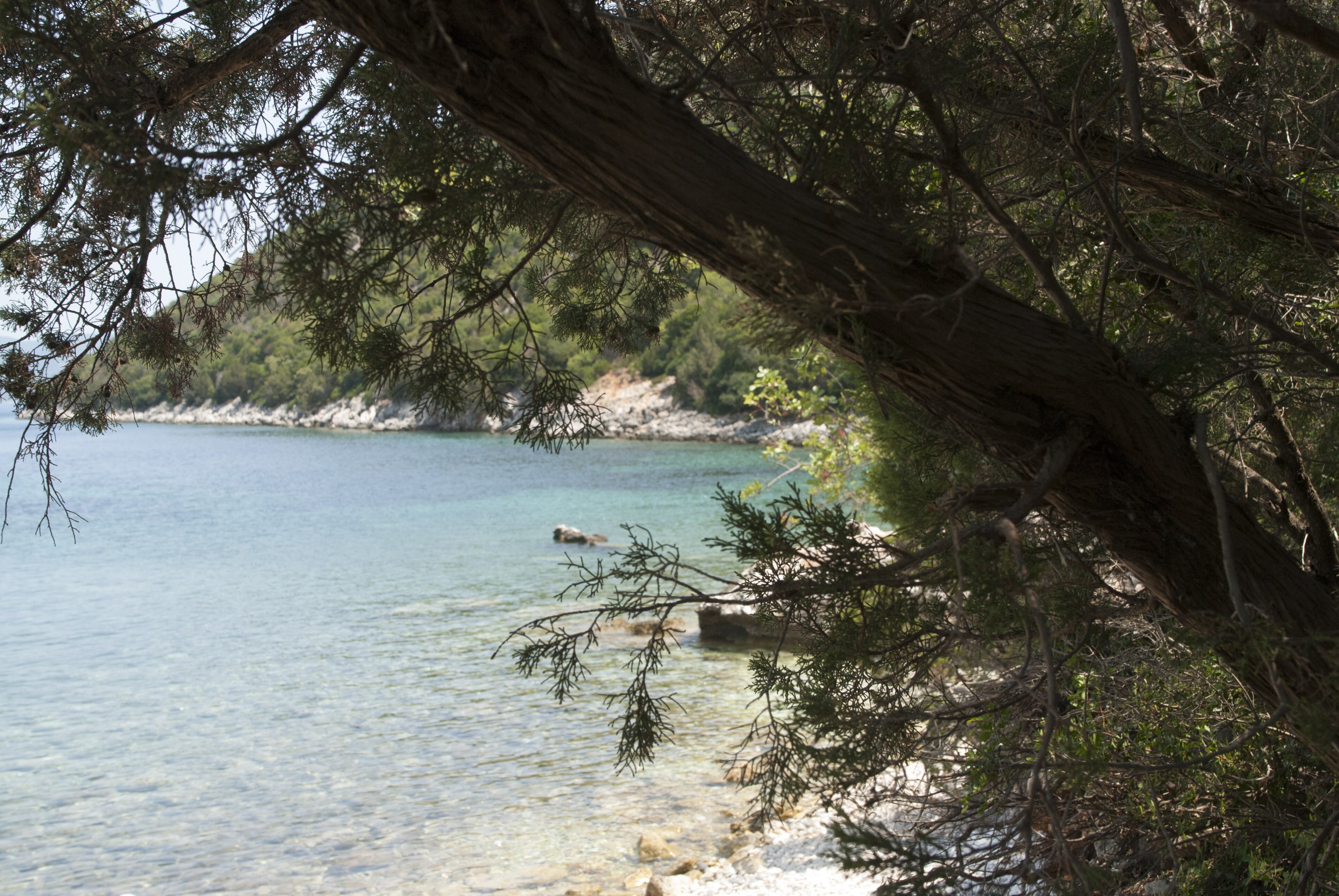 Παραλία Αντίσαμος